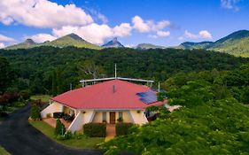 A View Of Mount Warning